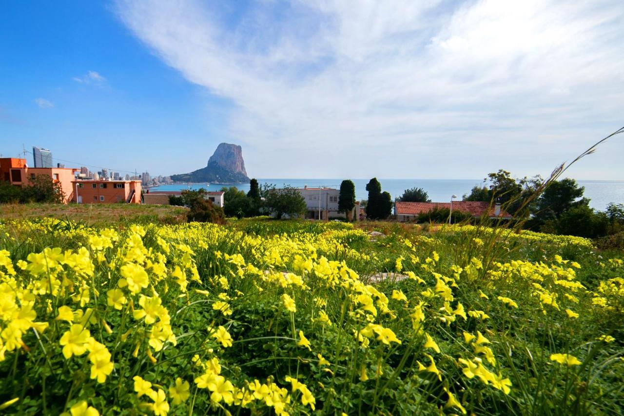 Homeincalpe Borumbot Kültér fotó